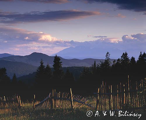 Beskid Sądecki na Obidzy widok na Małe Pieniny i Tatry