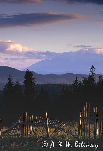 Beskid Sądecki na Obidzy widok na Małe Pieniny i Tatry