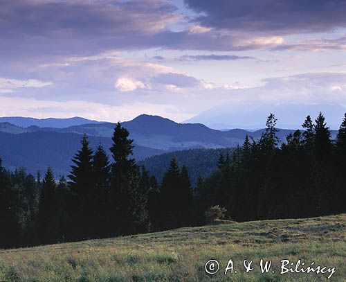 Beskid Sądecki na Obidzy widok na Małe Pieniny i Tatry