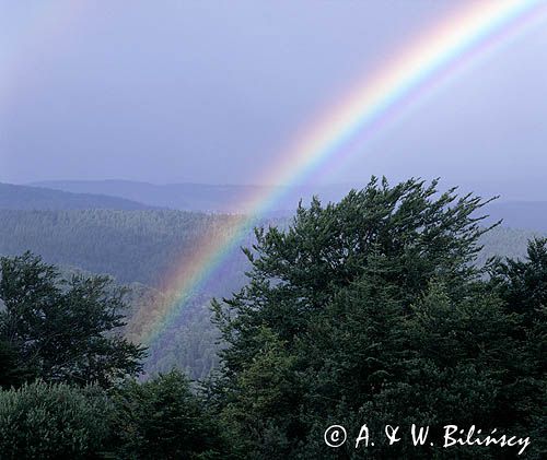 Beskid Sądecki pasmo Jaworzyny tęcza