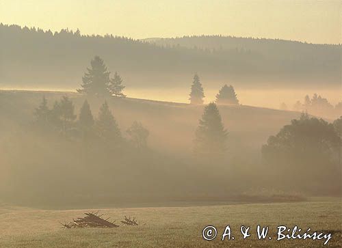 Beskid Sądecki o świcie