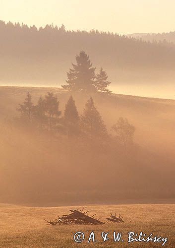 Beskid Sądecki o świcie