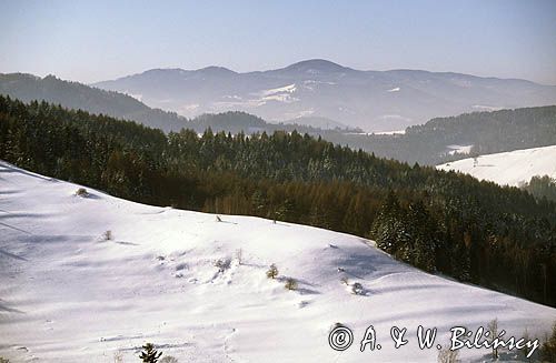 Beskid Sądecki zima widok znad Wierchomli Małej