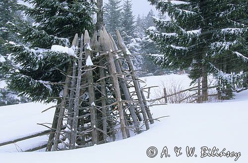 Beskid Sądecki, zima, ostrewki, zamieć