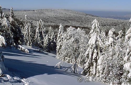 Beskid Sądecki, zima, pasmo Jaworzyny