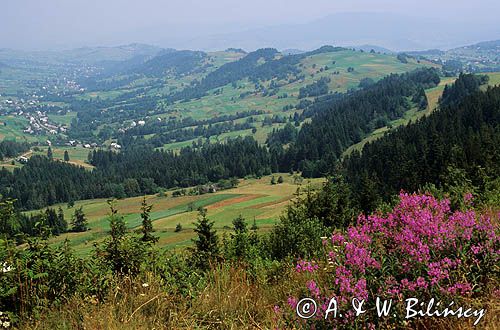 Beskid Śląski widok z przełęczy Koczy Zamek