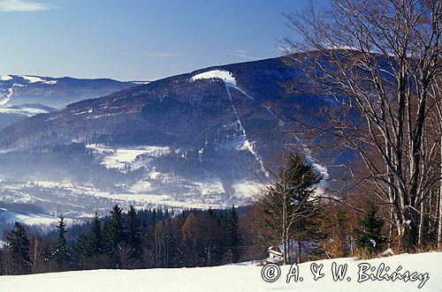 widok z Równicy na Czantorię, Beskid Śląski