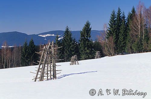 okolice Istebnej, Beskid Śląski