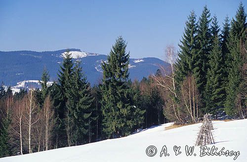 okolice Istebnej, Beskid Śląski