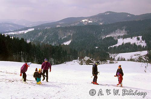 Na Zielonym, Beskid Śląski