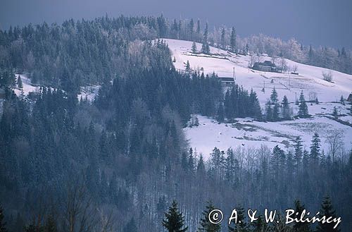 okolice Szczyrku, Beskid Śląski