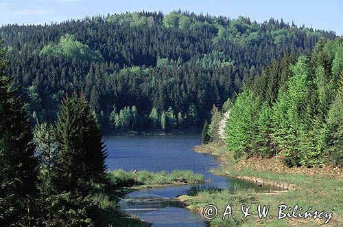 Beskid Śląski Ujście Czarnej Wisełki do jeziora Czerniańskiego