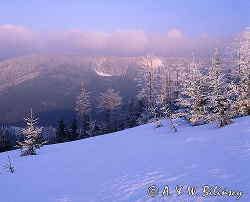 widok ze szczytu Malinów Beskid Śląski