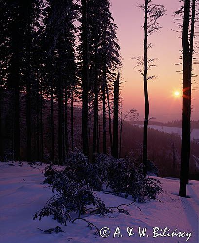 Malinów, Beskid Śląski