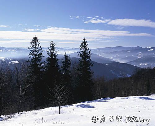 widok z Równicy, Beskid Śląski