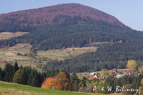 Beskid Wyspowy na prawo od szosy Mszana-Limanowa