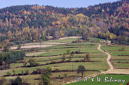 Beskid Wyspowy