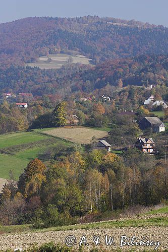 Beskid Wyspowy