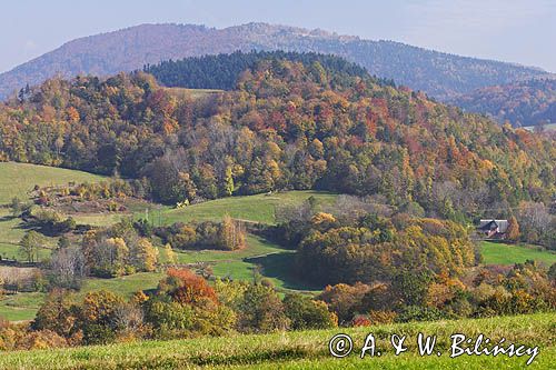 Beskid Wyspowy