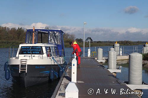 marina Biała Góra, rzeka Nogat, żuławy