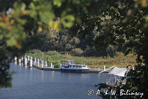 marina Biała Góra, rzeka Nogat, żuławy