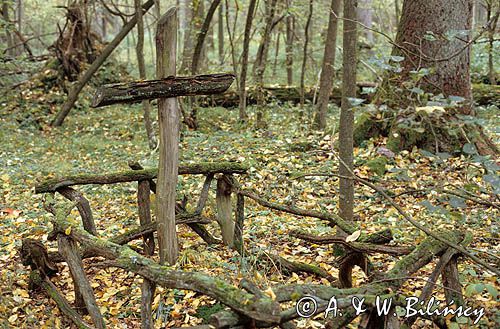 Białowieża, Grób w Białowieskim Parku Narodowym