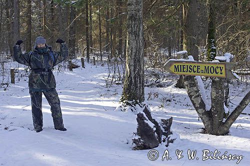 Miejsce Mocy, Puszcza Białowieska