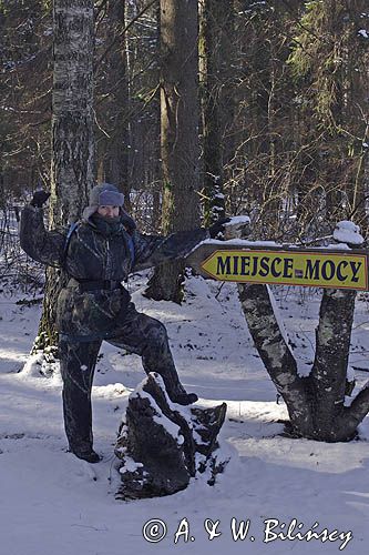 Miejsce Mocy, Puszcza Białowieska