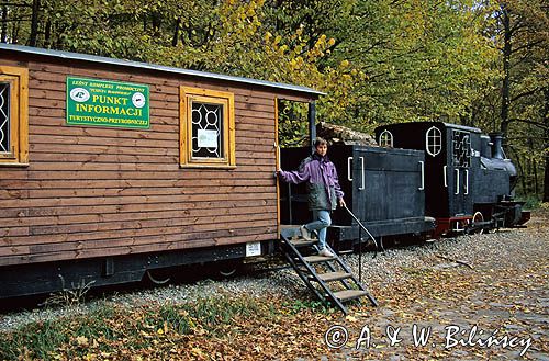 Białowieża, punkt informacyjny