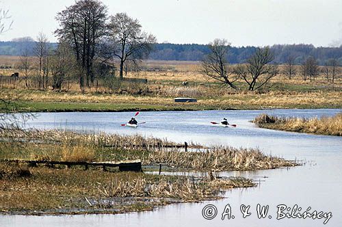 spływ Biebrzą