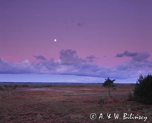 Bielawskie Błoto nocą, rezerwat przyrody