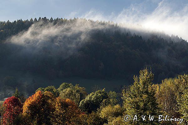 Widok na pasmo żuków z Doliny żłobka, Bieszczady