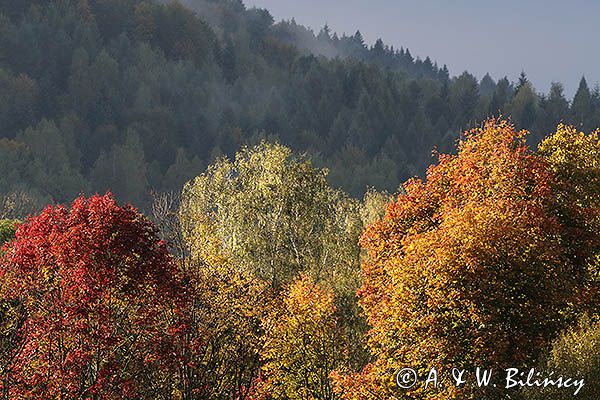 Jesień, Bieszczady