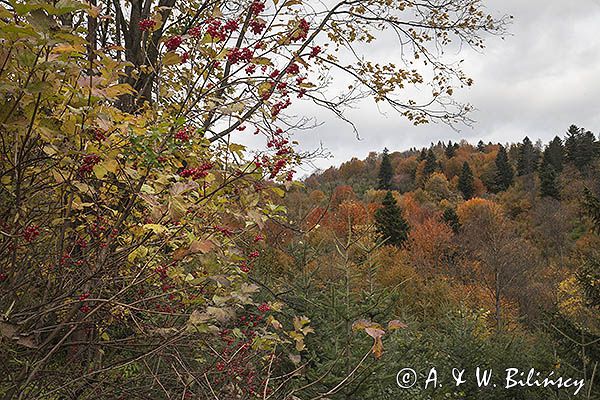 Jesień, Bieszczady