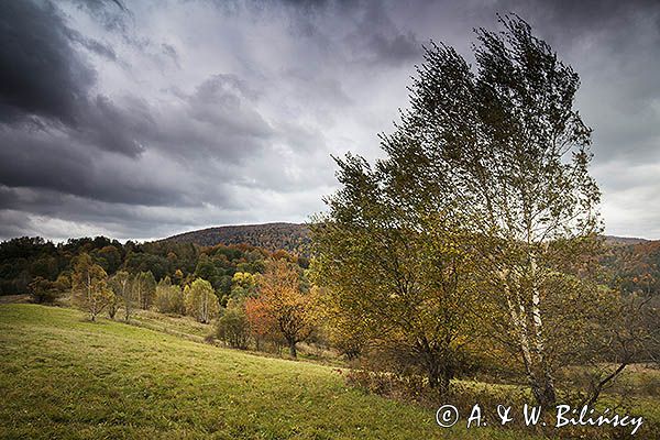 Jesień, Bieszczady, Hulskie, Park Krajobrazowy Doliny Sanu