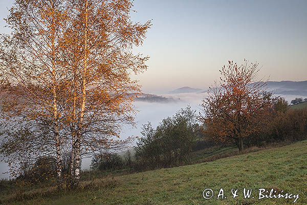 Jesień, Bieszczady, Krywe, Park Krajobrazowy Doliny Sanu