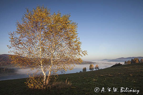 Jesień na Krywem, Bieszczady