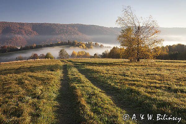 Jesień na Krywem, Bieszczady