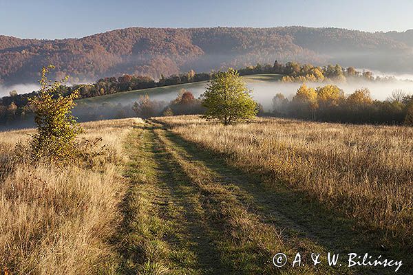 Jesień na Krywem, Bieszczady