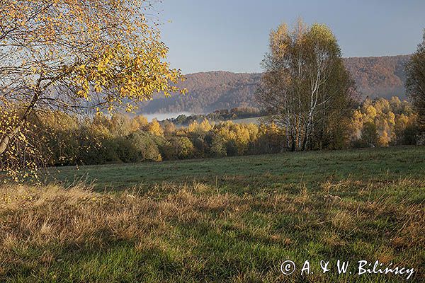 Jesień, Bieszczady, Krywe, Park Krajobrazowy Doliny Sanu