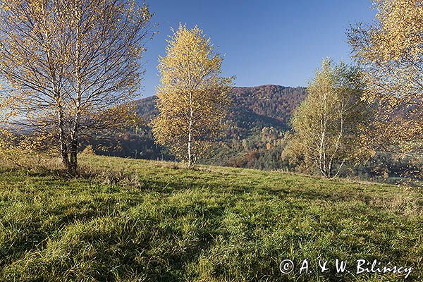 Jesień, Bieszczady, Krywe, Park Krajobrazowy Doliny Sanu