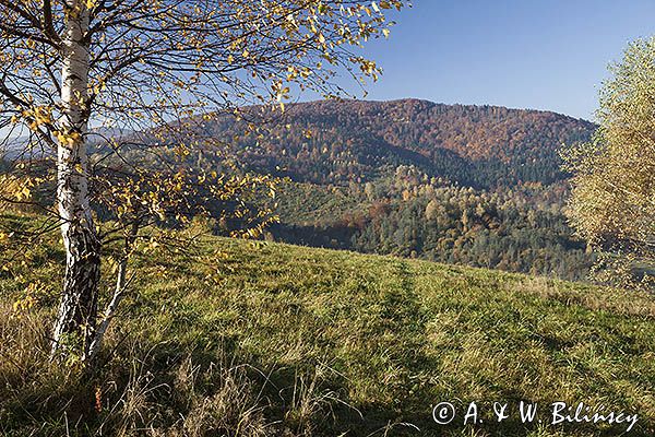 Jesień, Bieszczady, Krywe, Park Krajobrazowy Doliny Sanu