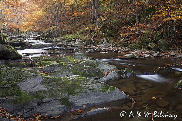 Potok Nasiczniański, Bieszczady