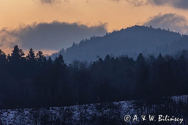 Las na Otrycie o świcie, Bieszczady