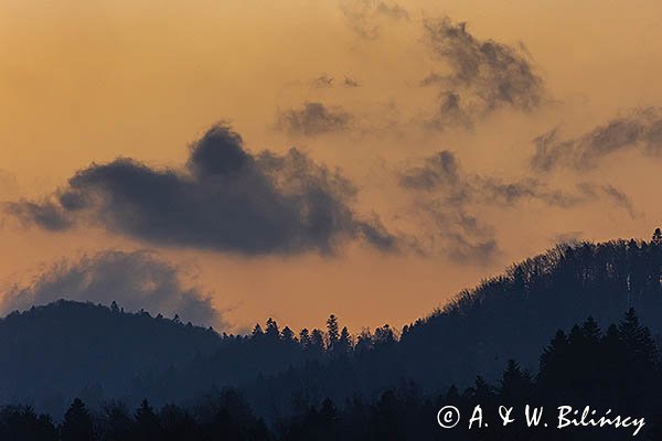 Las na Otrycie o świcie, Bieszczady