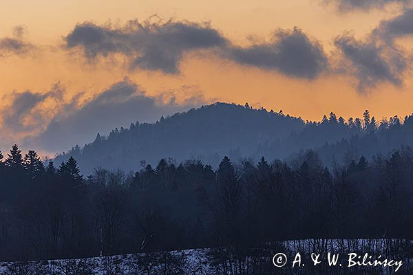 Las na Otrycie o świcie, Bieszczady