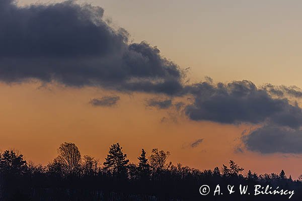 Las na Otrycie o świcie, Bieszczady