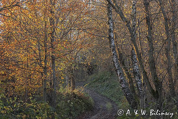 Droga, Bieszczady