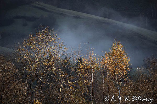 Widok z Polany, Bieszczady