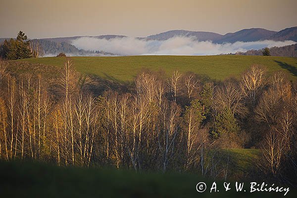 Widok z Polany, Bieszczady